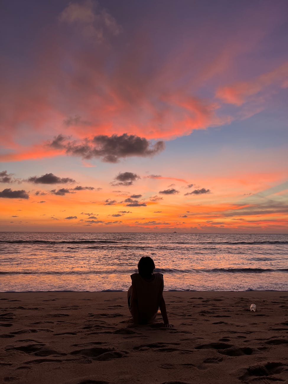 serene beach sunset with silhouette