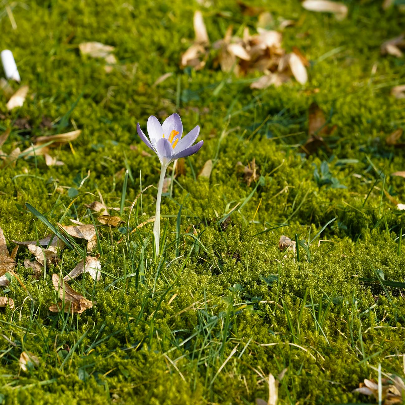 Spring 2026 Newsletter